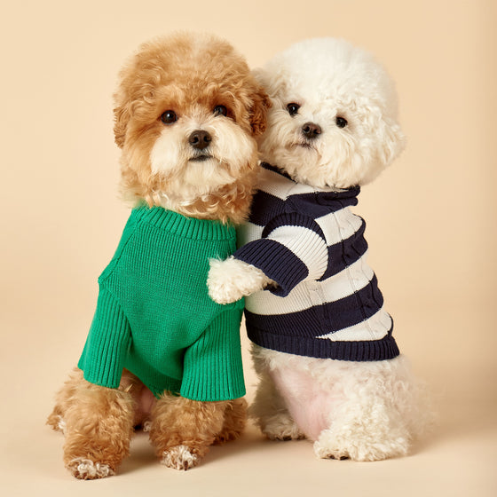 PETS CLOTHING